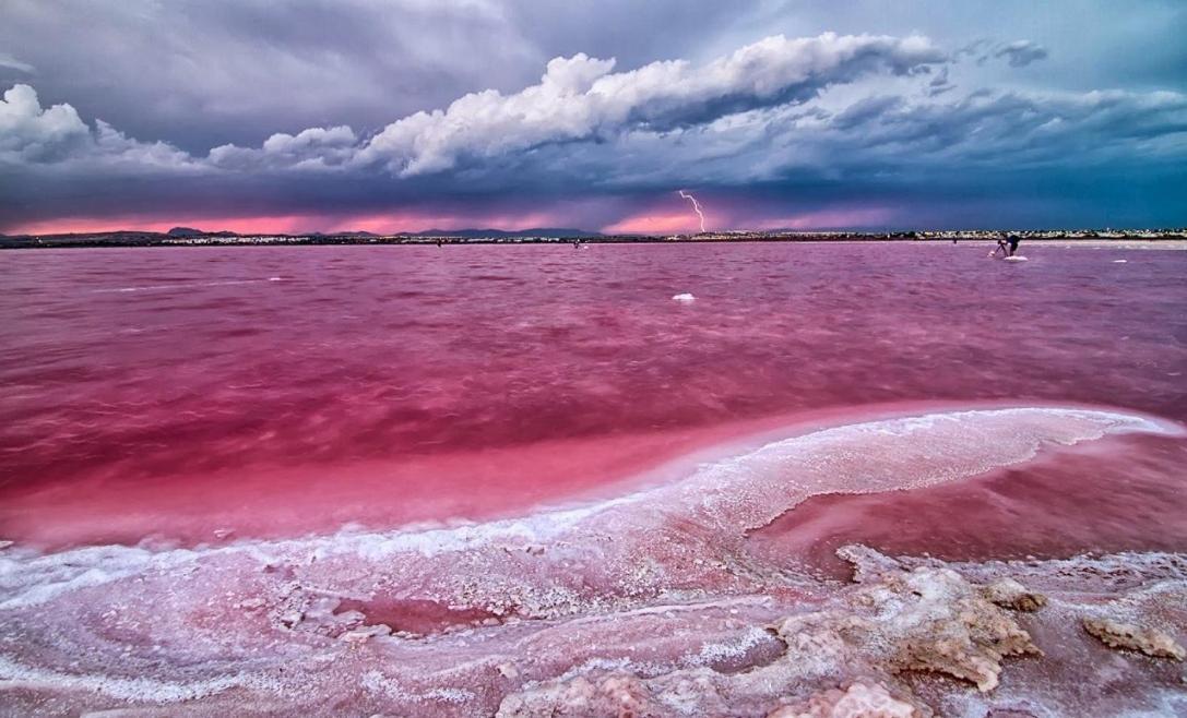 Piso En El Centro Daire Torrevieja Dış mekan fotoğraf